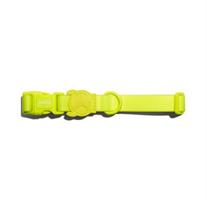 ZEE DOG - COLLIER NEOPRO LIME SMALL