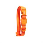 ZEE DOG - COLLIER NEOPRO TANGERINE LARGE