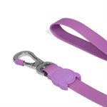 ZEE DOG - LAISSE NEOPRO ULTRA VIOLET LARGE