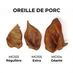 OREILLE DE PORC GÉANTE 40 / CS