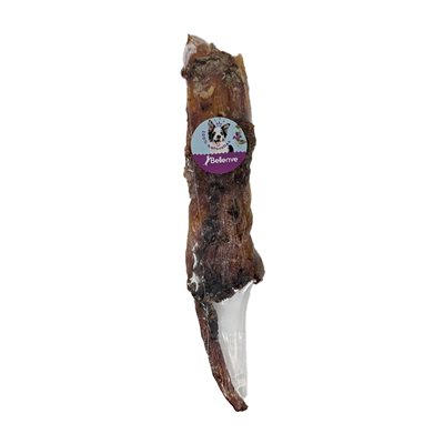 TENDON DE BOEUF 8-12'' 50 / CS