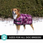 SHEDROW K9 GLACIER MANTEAU PLAID VIOLET LARGE